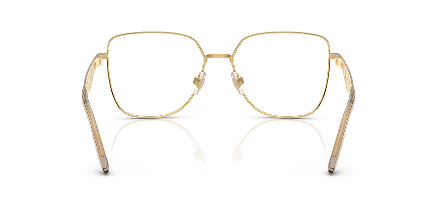 DOLCE &amp; GABBANA DG1358 1366 56