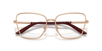 DOLCE &amp; GABBANA DG1359 1298 55