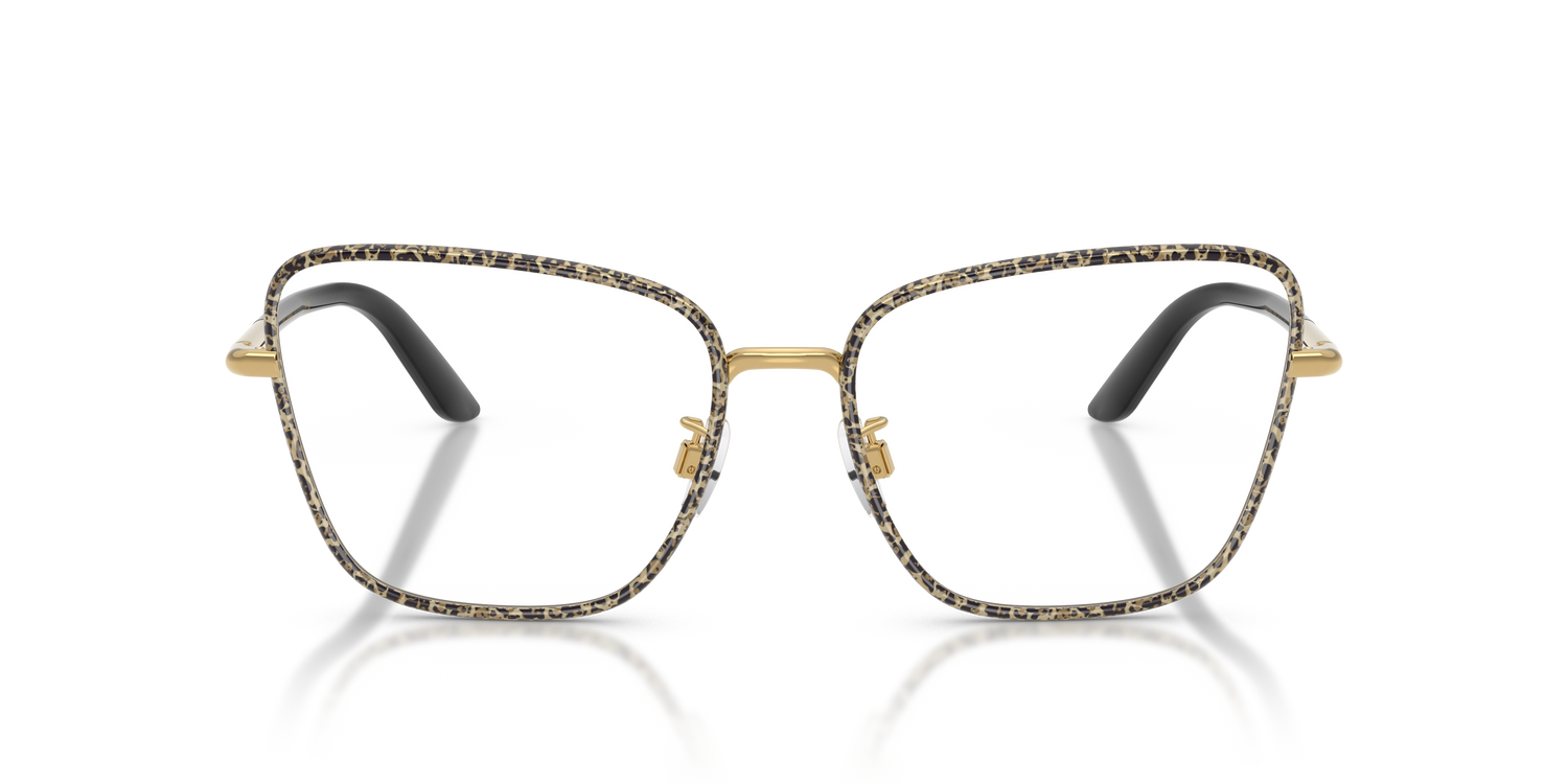 DOLCE &amp; GABBANA DG1359 1364 55