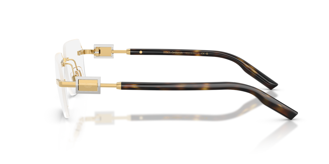 DOLCE & GABBANA DG1361 02 60