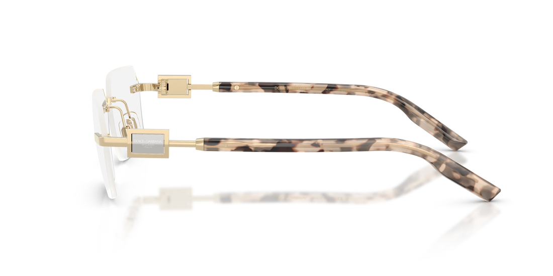 DOLCE & GABBANA DG1361 488 60