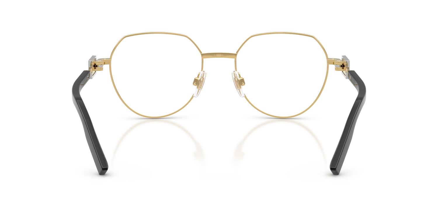 DOLCE &amp; GABBANA DG1362 02 53