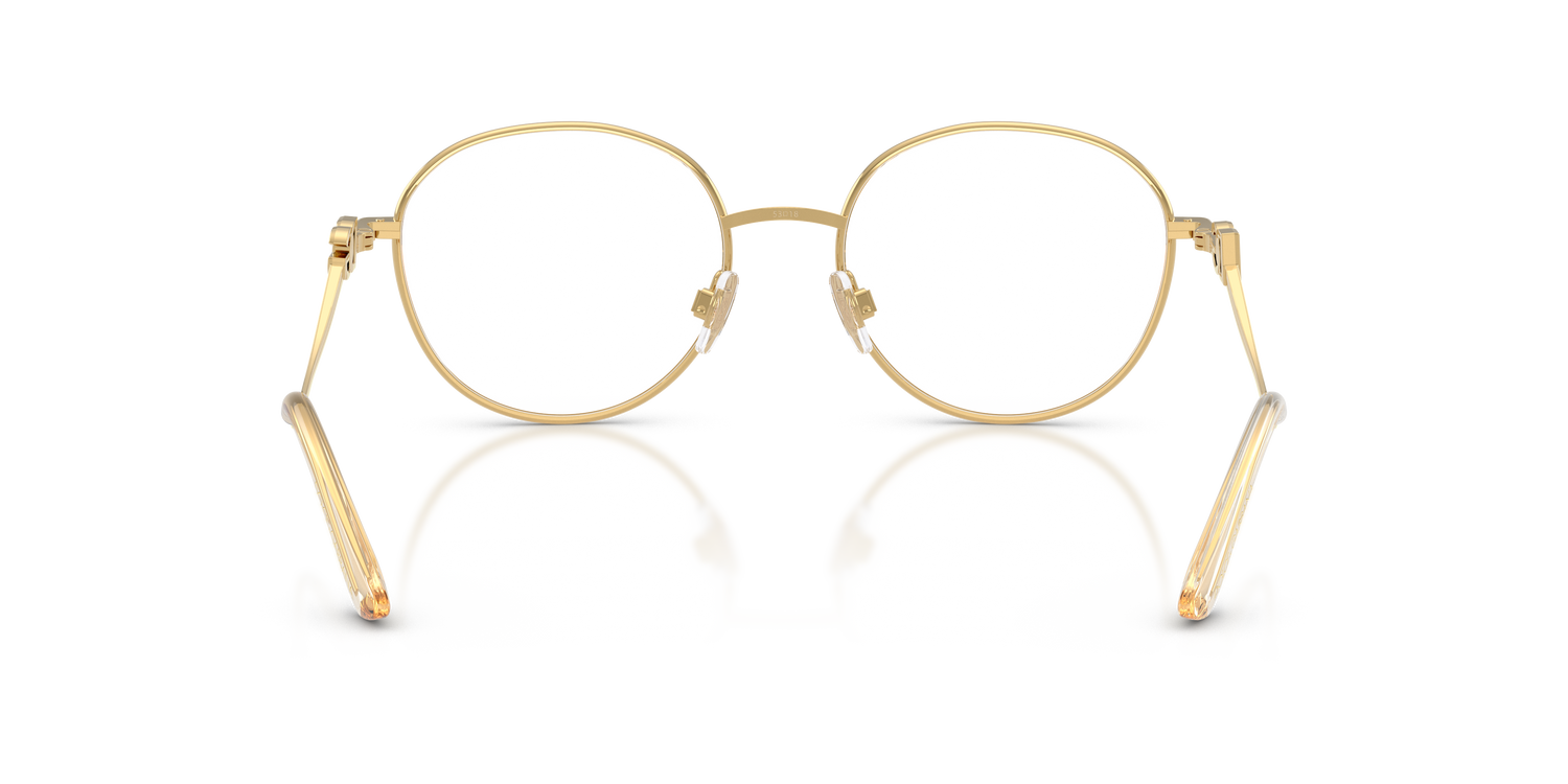 DOLCE &amp; GABBANA DG1365 02 53