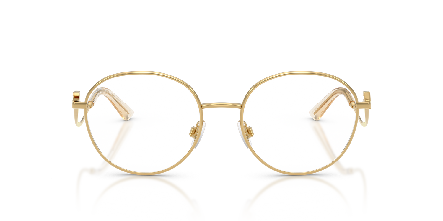 DOLCE &amp; GABBANA DG1365 02 53