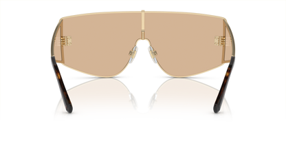 DOLCE &amp; GABBANA DG2305 13655A 44