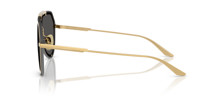 DOLCE &amp; GABBANA DG2309 02/87 43