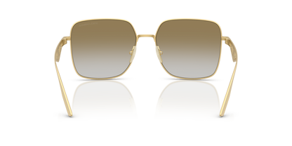 DOLCE &amp; GABBANA DG2310 12246E 57