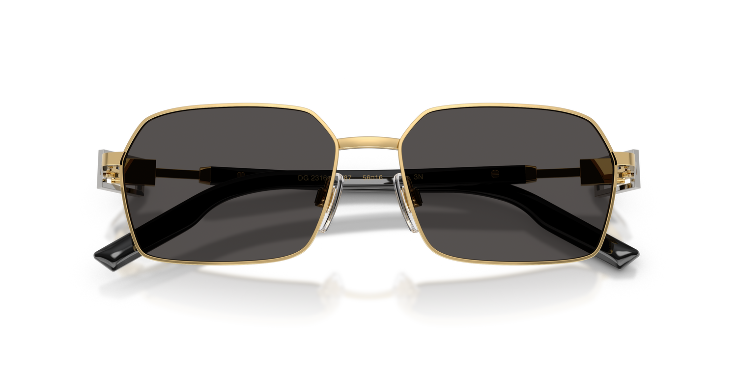 DOLCE &amp; GABBANA DG2316 02/87 56