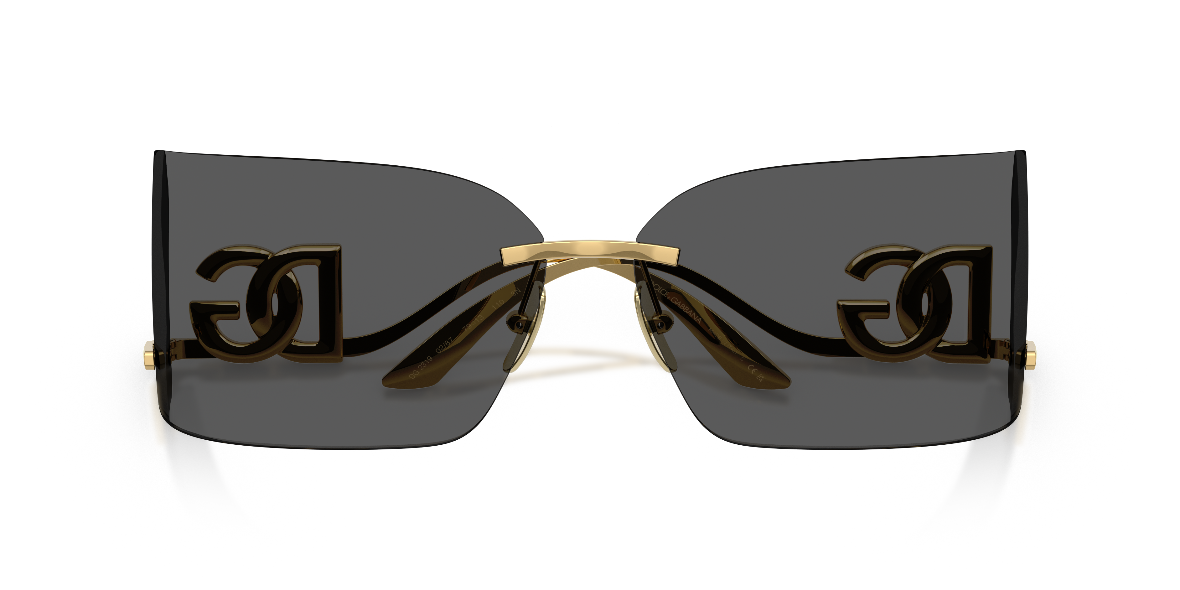 DOLCE &amp; GABBANA DG2319 02/87 79