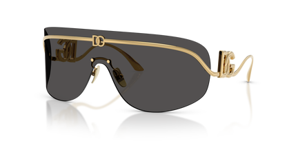 DOLCE &amp; GABBANA DG2320 02/87 40