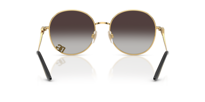 DOLCE &amp; GABBANA DG2324 02/8G 56