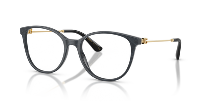 DOLCE &amp; GABBANA DG3363 3441 54