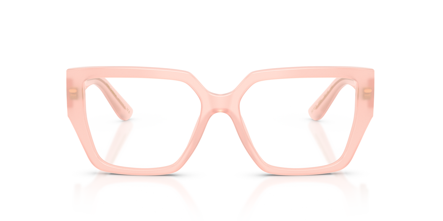 DOLCE &amp; GABBANA DG3373 3384 53