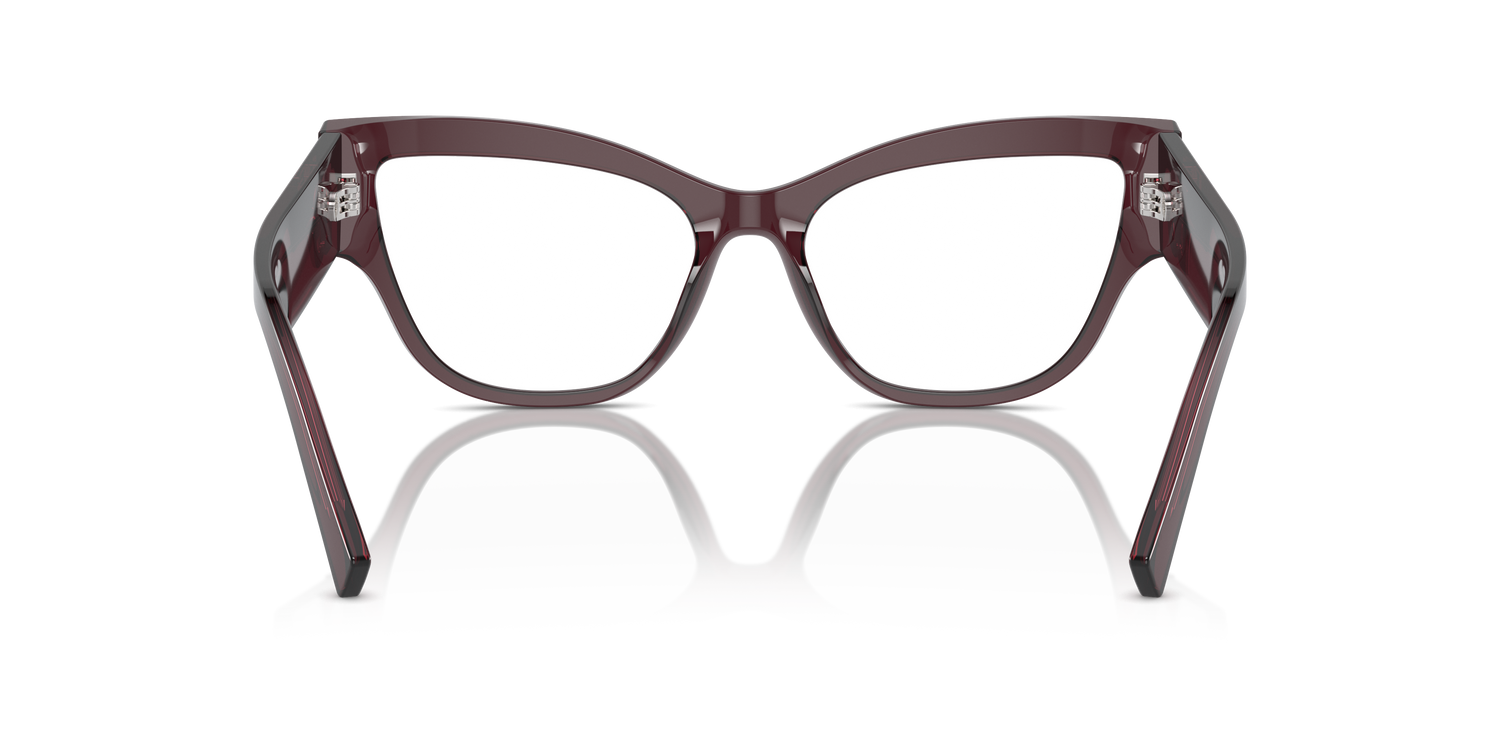 DOLCE &amp; GABBANA DG3378 3045 55