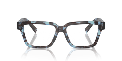 DOLCE &amp; GABBANA DG3383 3392 55