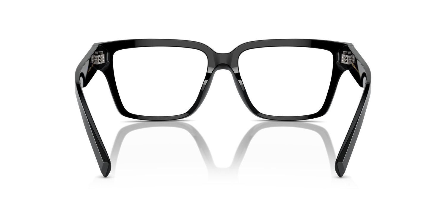 DOLCE &amp; GABBANA DG3383 501 55