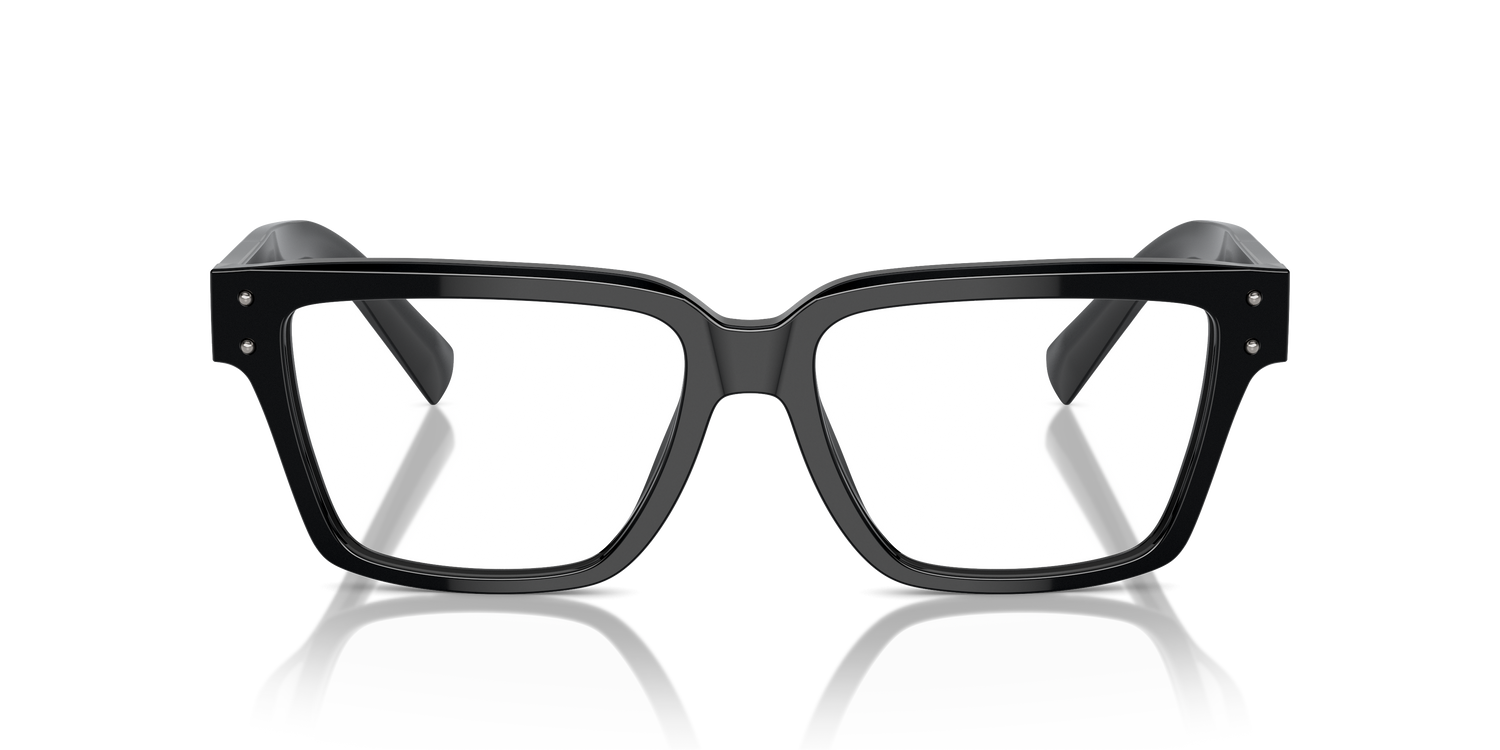 DOLCE &amp; GABBANA DG3383 501 55