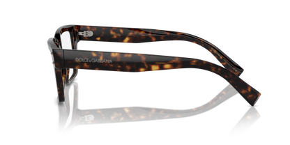 DOLCE &amp; GABBANA DG3383 502 55
