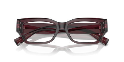 DOLCE &amp; GABBANA DG3387 3045 53