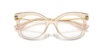 DOLCE &amp; GABBANA DG3392 3432 52