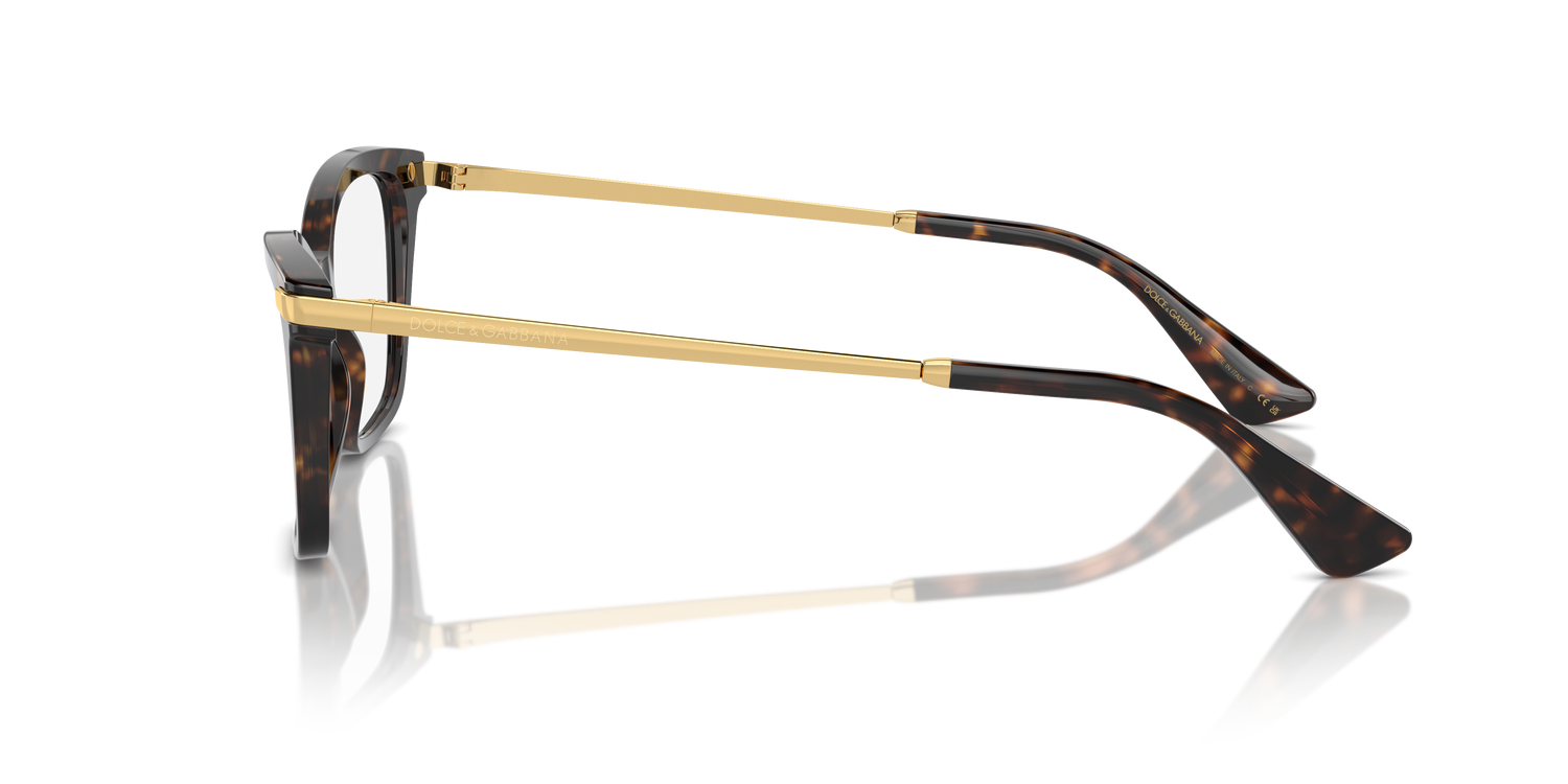 DOLCE &amp; GABBANA DG3393 502 54