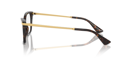 DOLCE &amp; GABBANA DG3393 502 54