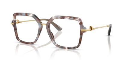 DOLCE &amp; GABBANA DG3396 3445 53