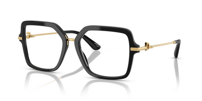 DOLCE &amp; GABBANA DG3396 501 53