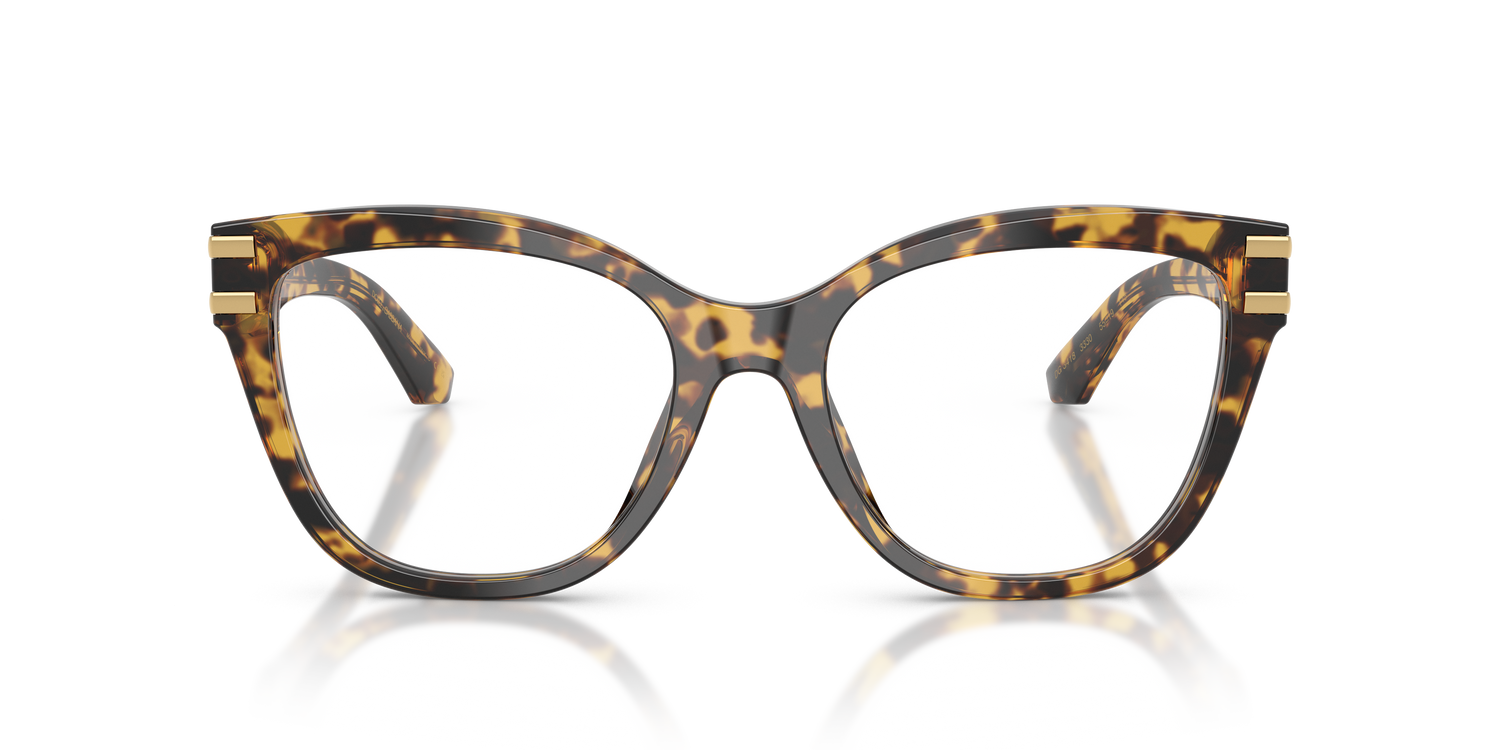 DOLCE &amp; GABBANA DG3418 3330 53