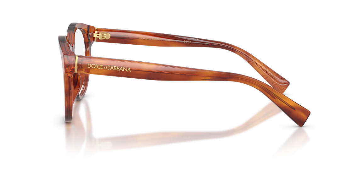 DOLCE & GABBANA DG3421 3221 50