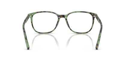 DOLCE &amp; GABBANA DG3426 3439 53