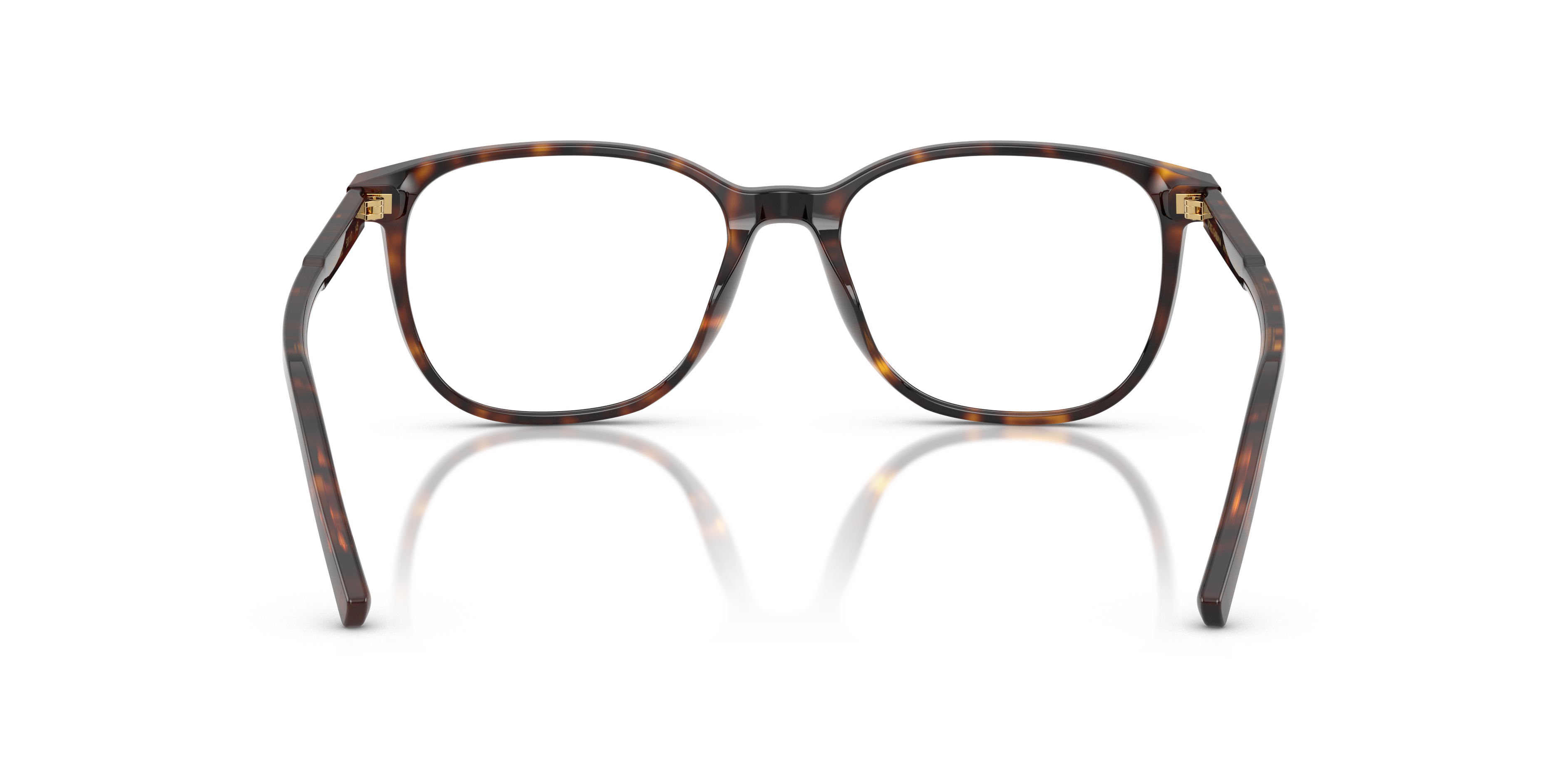 DOLCE &amp; GABBANA DG3426 502 53