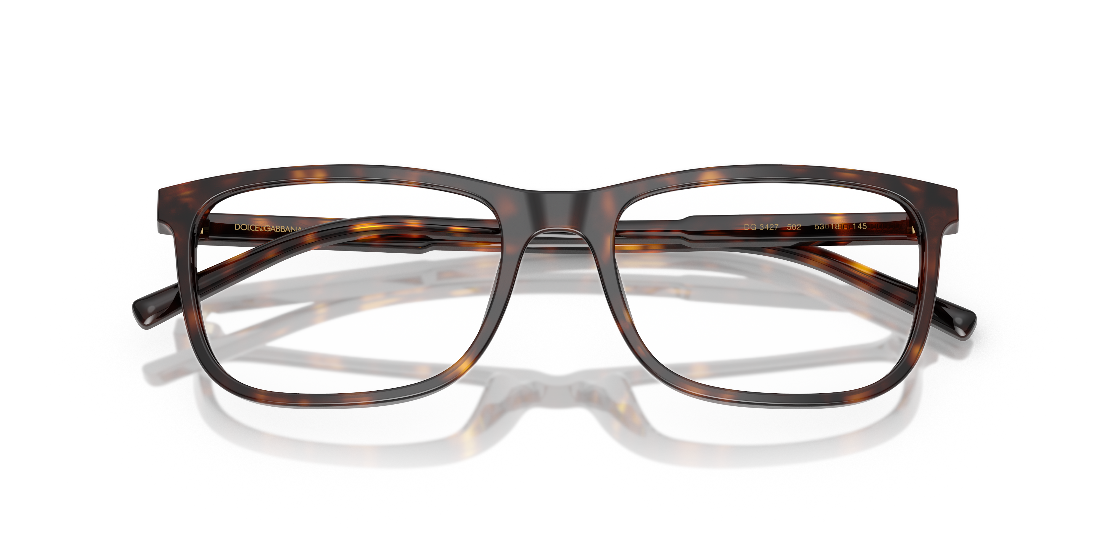 DOLCE &amp; GABBANA DG3427 502 53