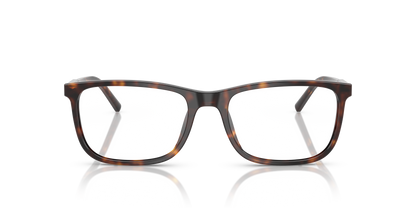 DOLCE &amp; GABBANA DG3427 502 55