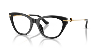 DOLCE &amp; GABBANA DG3428 501 53