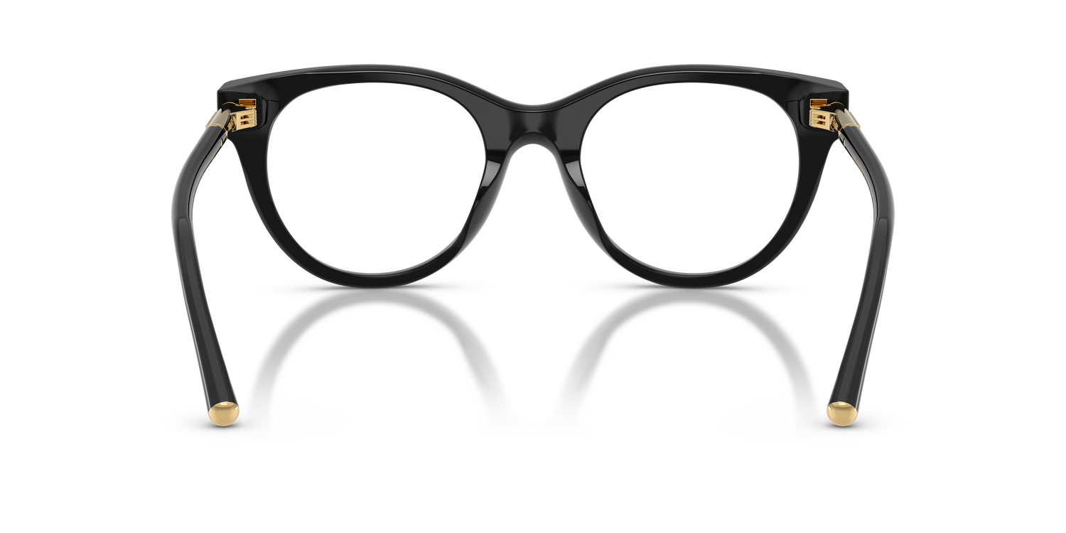 DOLCE &amp; GABBANA DG3433 501 51