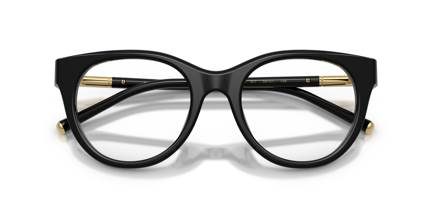 DOLCE &amp; GABBANA DG3433 501 51