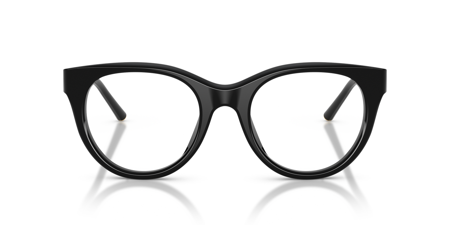 DOLCE &amp; GABBANA DG3433 501 53