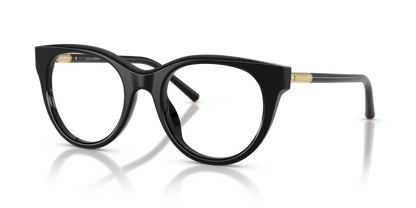 DOLCE &amp; GABBANA DG3433 501 53