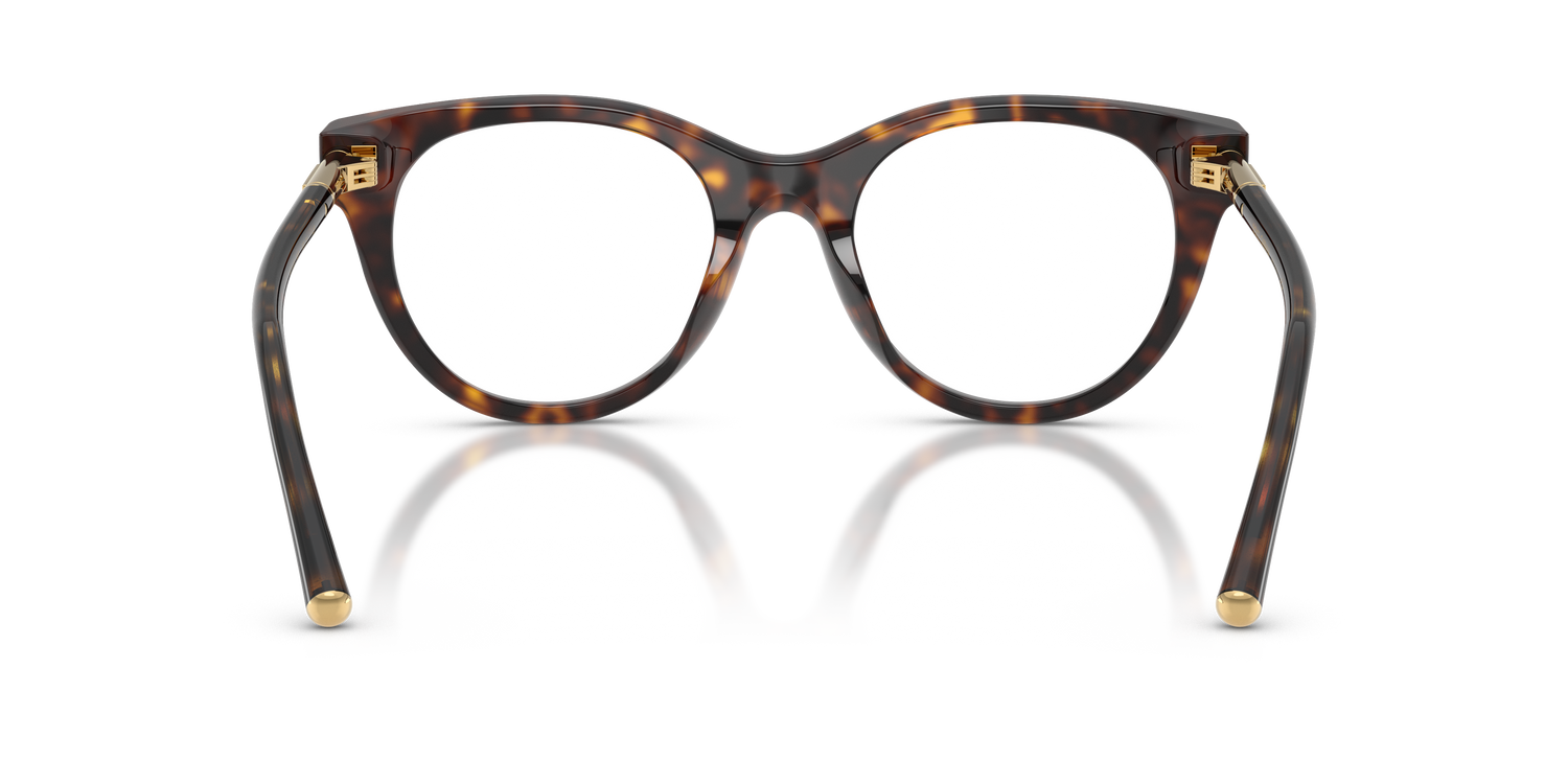 DOLCE &amp; GABBANA DG3433 502 53