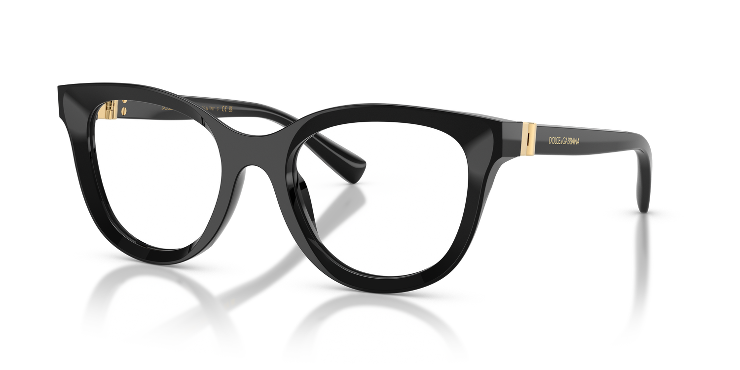 DOLCE &amp; GABBANA DG3437 501 53