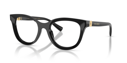 DOLCE &amp; GABBANA DG3437 501 53