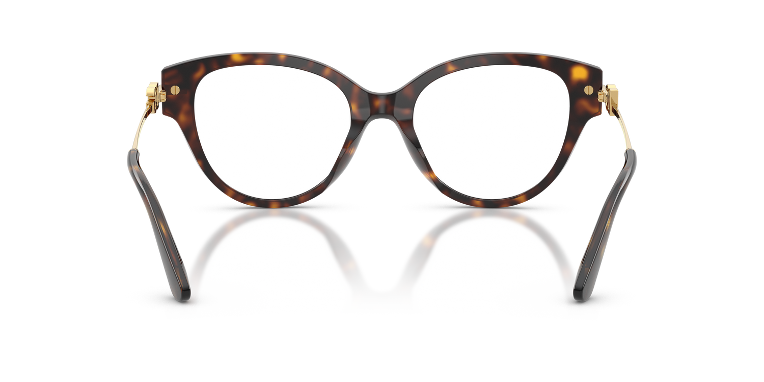 DOLCE &amp; GABBANA DG3438 502 51
