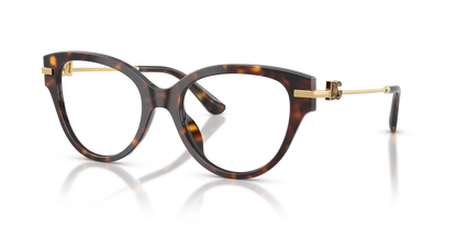 DOLCE &amp; GABBANA DG3438 502 51