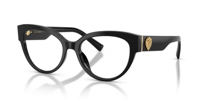 DOLCE &amp; GABBANA DG3440 501 54