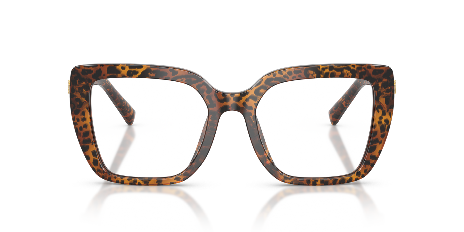 DOLCE &amp; GABBANA DG3441 3470 51
