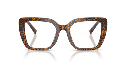 DOLCE &amp; GABBANA DG3441 3470 51