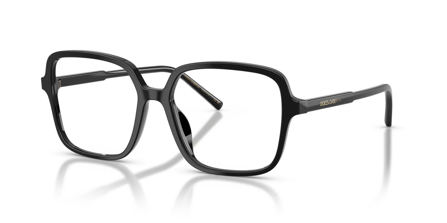 DOLCE &amp; GABBANA DG3442 501 53