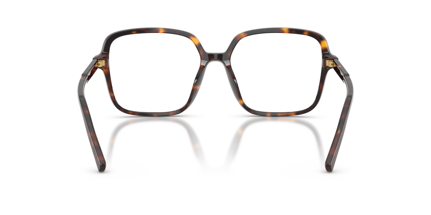 DOLCE &amp; GABBANA DG3442 502 53
