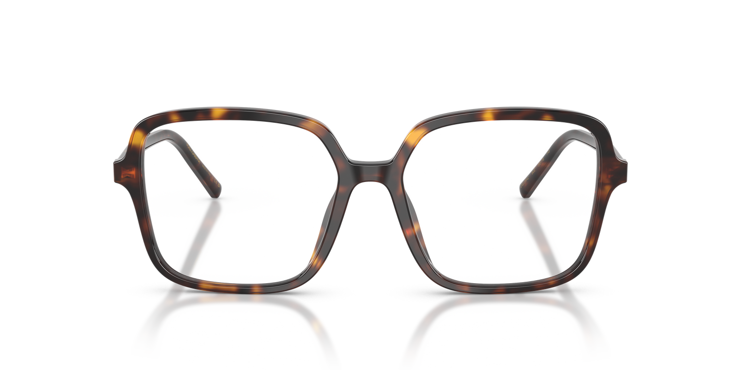 DOLCE &amp; GABBANA DG3442 502 53